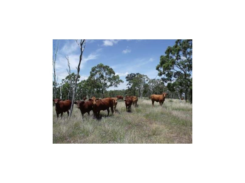 Lot 203 Rangemore Road, Maclagan QLD 4352