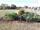 2205 Toowoomba Cecil Plains Road, Biddeston QLD 4401