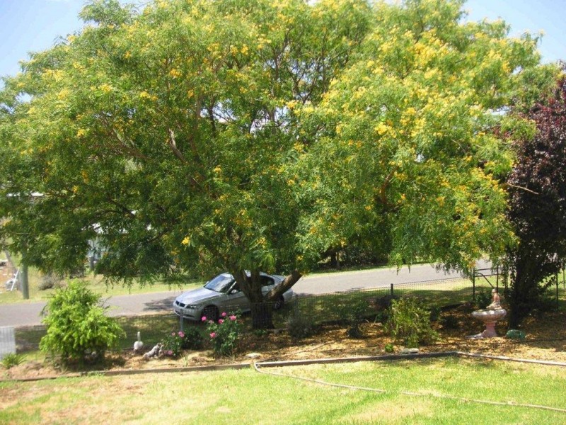 16 Elton Street, Greenmount QLD 4359