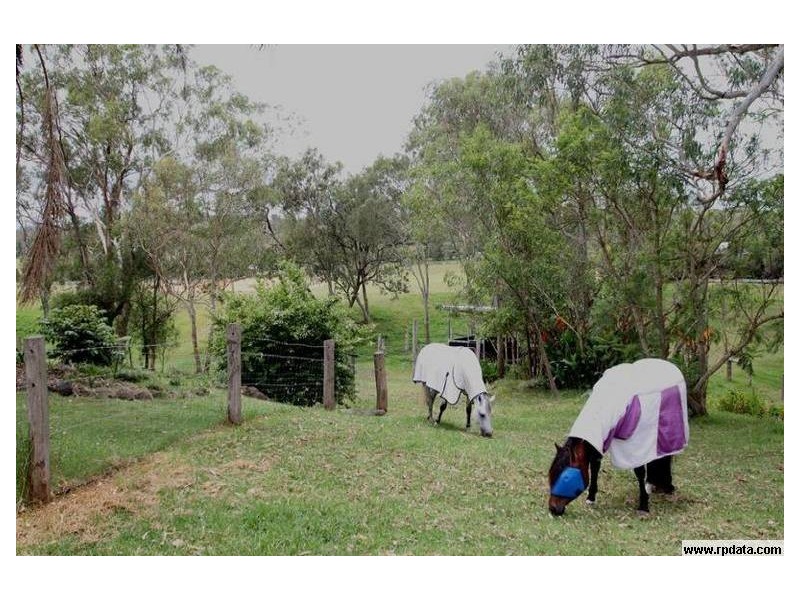 13 Bedwell Street, Cranley QLD 4350