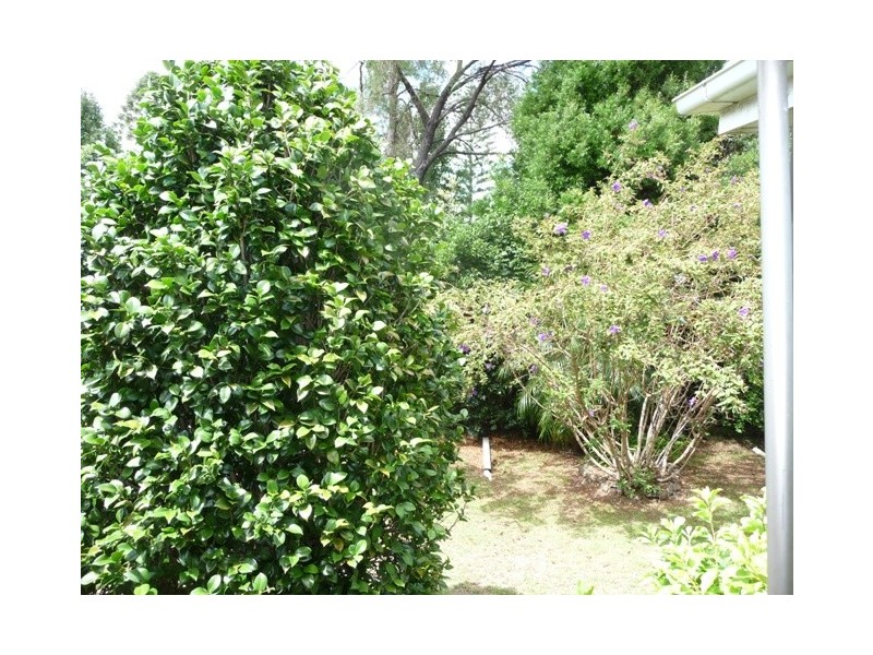 6 Alford Street, Mount Lofty QLD 4350