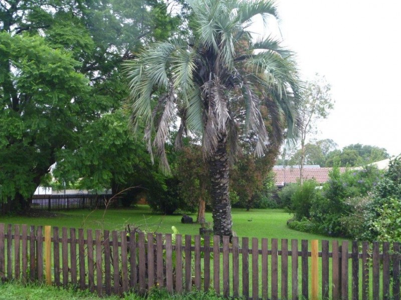 63 Hume Street, North Toowoomba QLD 4350