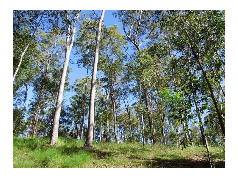 122 Humberdross Road, Palmtree QLD 4352