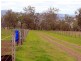 Lot 114 Genricks Road, Broxburn QLD 4356