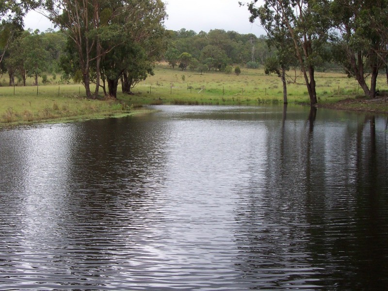 1205 Pechey Maclagan Road, Groomsville QLD 4352