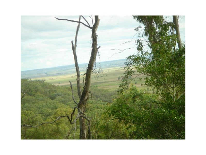 310 Bernard Road, Nobby QLD 4360