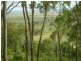 310 Bernard Road, Nobby QLD 4360