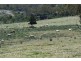 296 Goombungee Road, Toowoomba City QLD 4350