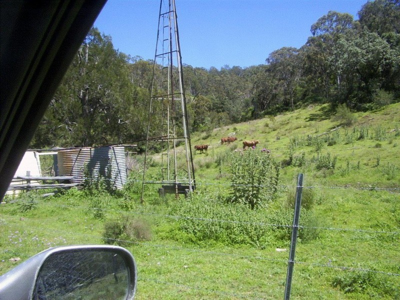 Lot 203 Rangemore Road, Maclagan QLD 4352