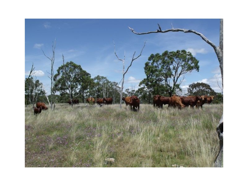 Lot 203 Rangemore Road, Maclagan QLD 4352