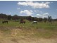 231 Peters Road, Groomsville QLD 4352