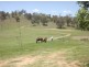 231 Peters Road, Groomsville QLD 4352