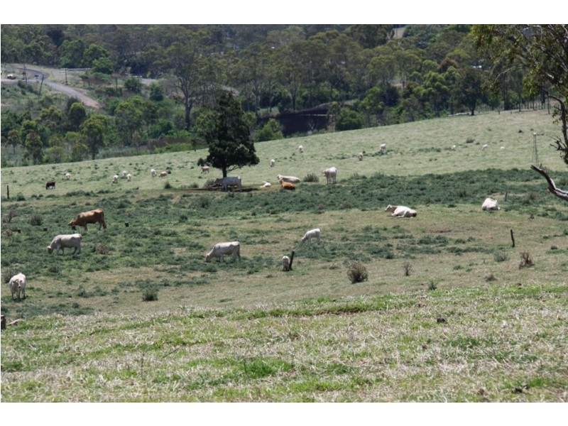 296 Goombungee Road, Toowoomba City QLD 4350