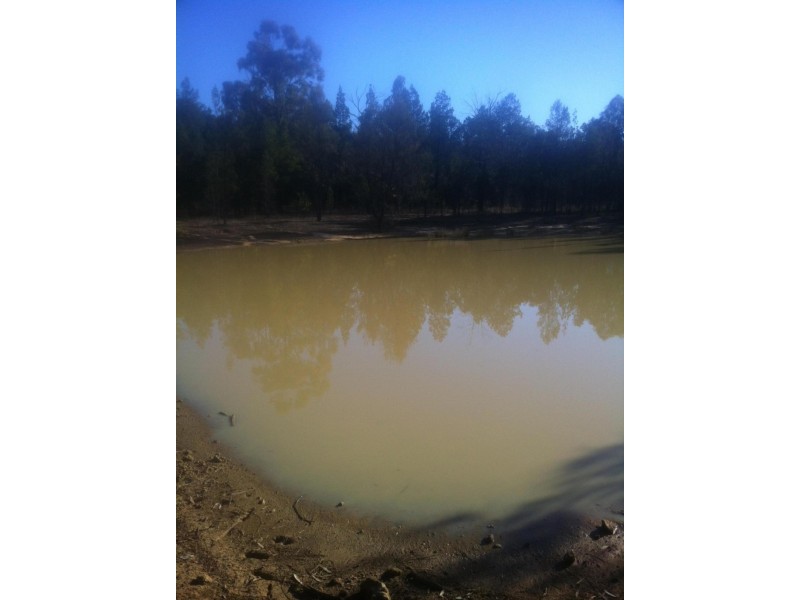 Lot 12 Cypress Road, Kumbarilla Via, Dalby QLD 4405