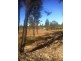 Lot 12 Cypress Road, Kumbarilla Via, Dalby QLD 4405