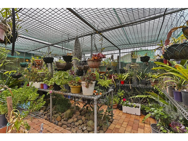 18 Brigalow Street, Newtown QLD 4350