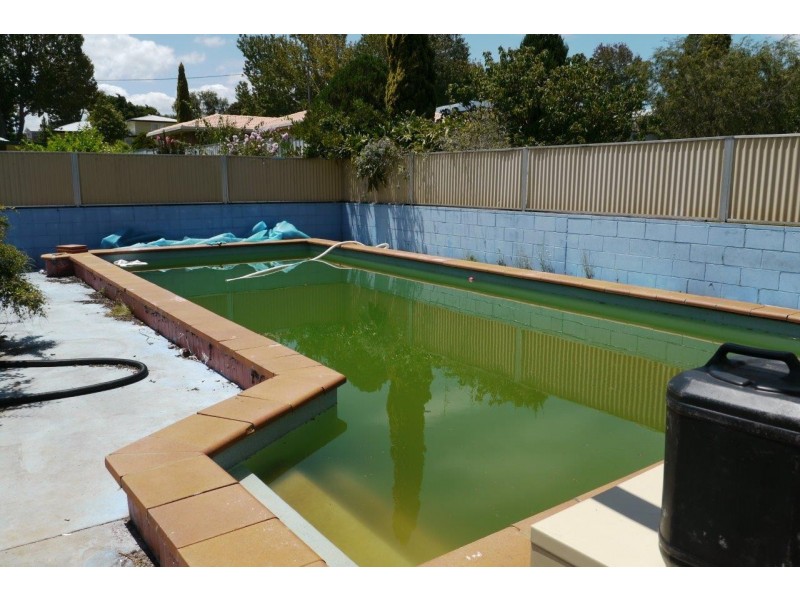 77 Perth Street, Rangeville QLD 4350