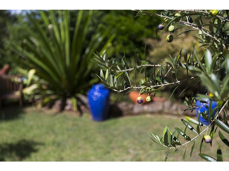 65A Alford Street, Mount Lofty QLD 4350