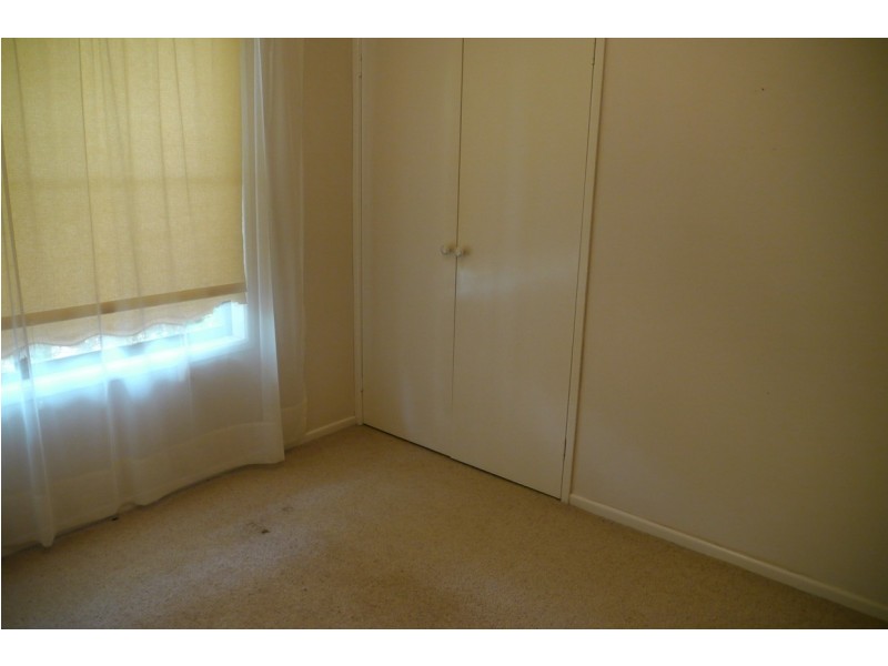 14 Birch Court, Darling Heights QLD 4350