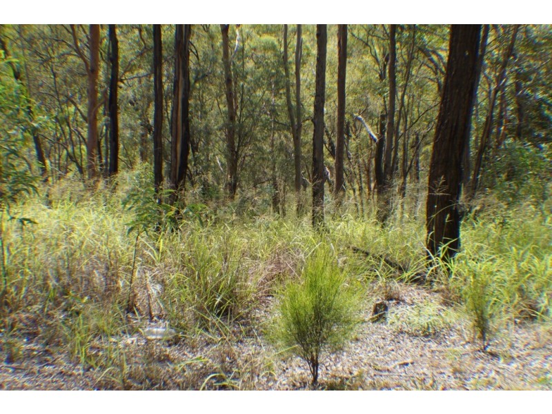 4 Blanchview Road, Silver Ridge QLD 4352