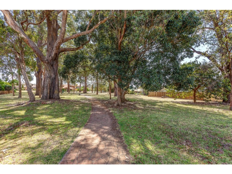 6 Llanwynne Court, Middle Ridge QLD 4350
