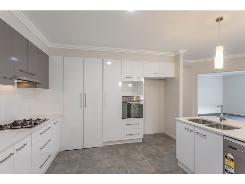 98 Shoesmith Road, Westbrook QLD 4350