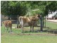 112 Jonel Park Road, Allora QLD 4362