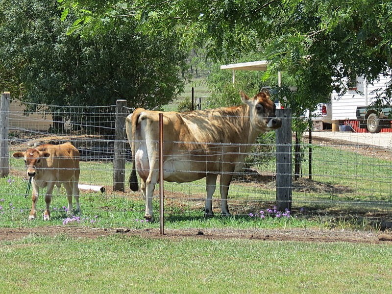 112 Jonel Park Road, Allora QLD 4362
