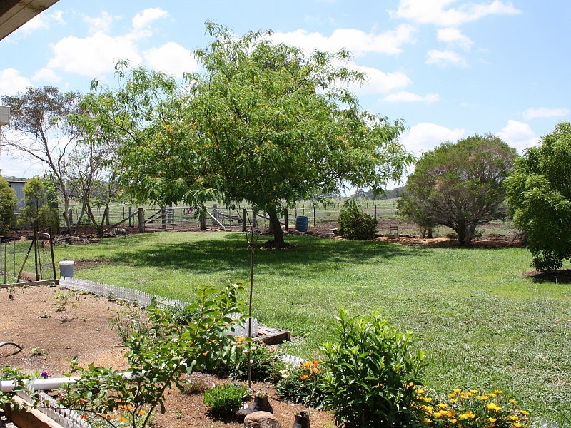 112 Jonel Park Road, Allora QLD 4362