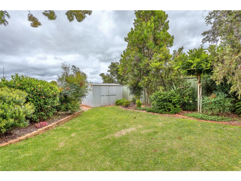 22 Dandelion Drive, Middle Ridge QLD 4350