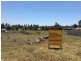 Darling Heights QLD 4350
