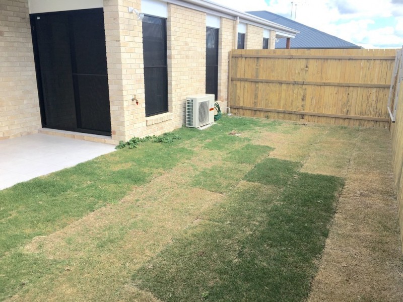 2/6 Whitefield Street, Glenvale QLD 4350