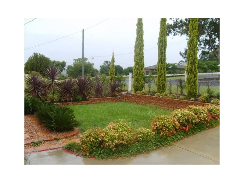 17 DOUGLAS ST, Warwick QLD 4370