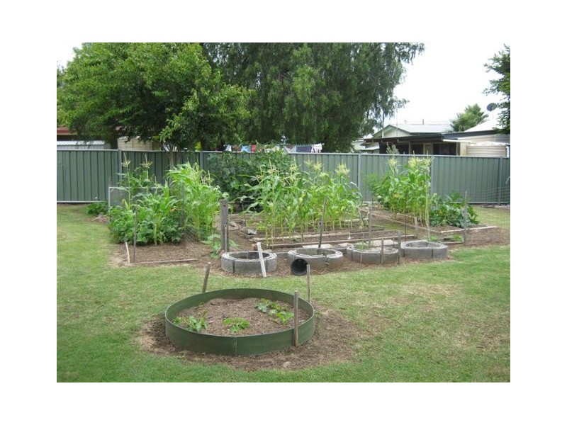 55 ACACIA AVE, Warwick QLD 4370
