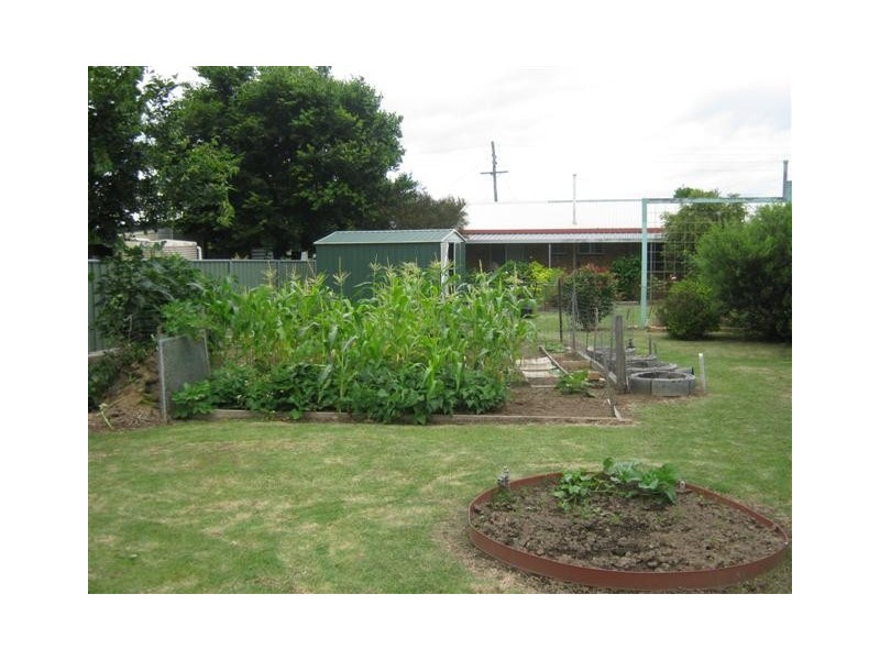 55 ACACIA AVE, Warwick QLD 4370