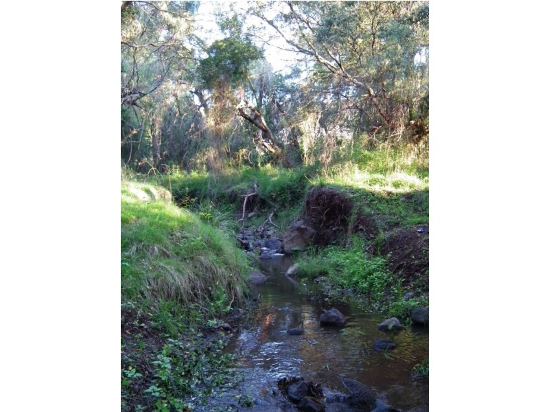 141 Warreners Road (Yangan), Warwick QLD 4370