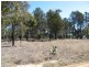 Leyburn QLD 4365