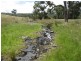 Texas NSW 4385