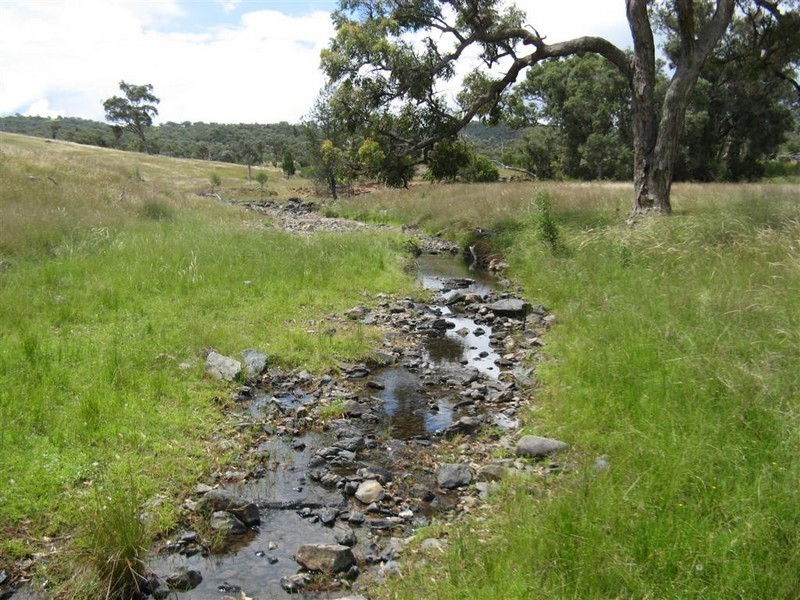 Texas NSW 4385