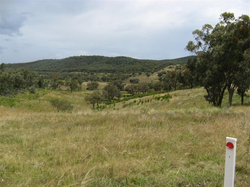 Texas NSW 4385