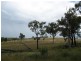 Texas NSW 4385