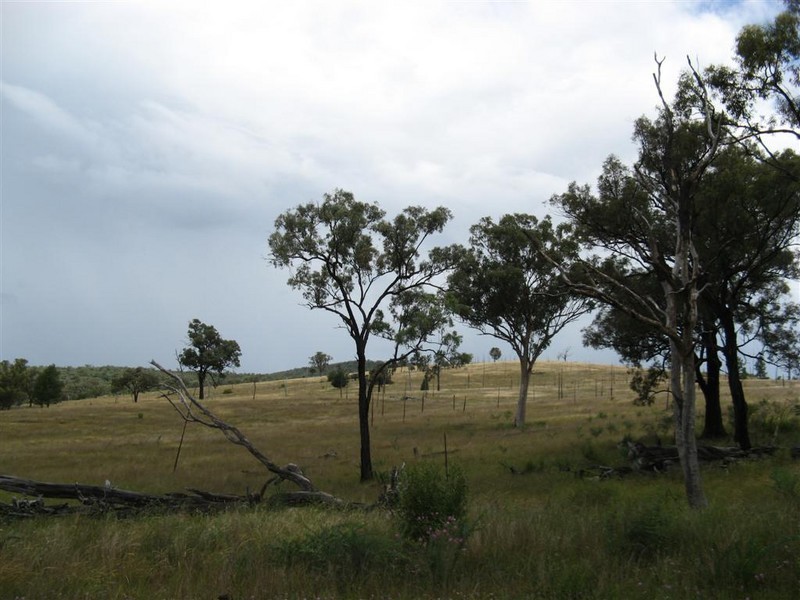 Texas NSW 4385