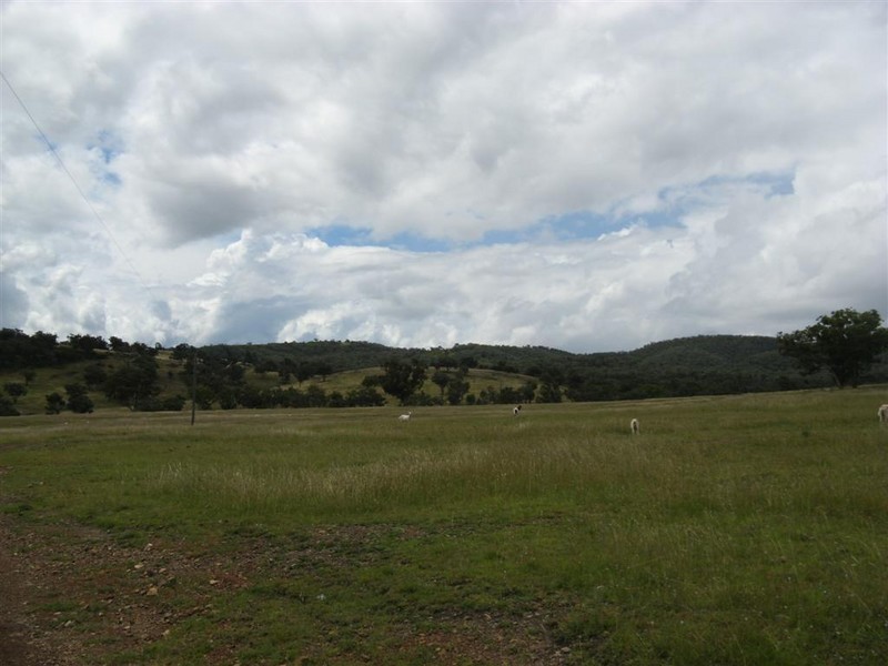 Texas NSW 4385