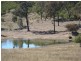Texas NSW 4385