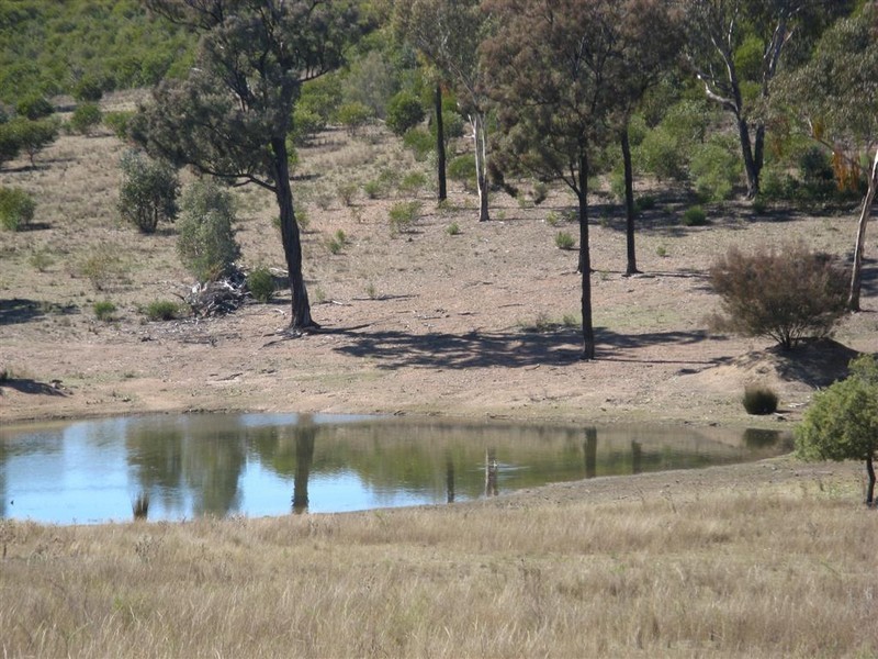 Texas NSW 4385