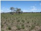 Pratten QLD 4370