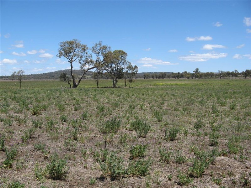 Pratten QLD 4370