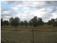 Leyburn QLD 4365