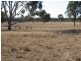 Leyburn QLD 4365