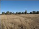 Leyburn QLD 4365
